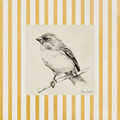Image Not Available